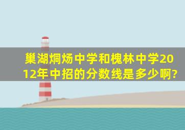 巢湖烔炀中学和槐林中学2012年中招的分数线是多少啊?