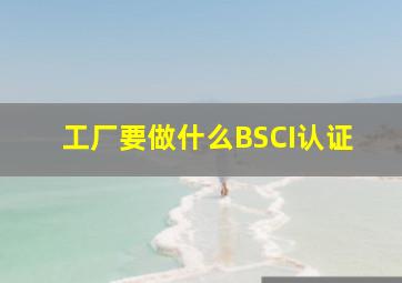 工厂要做什么BSCI认证