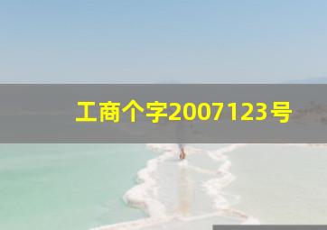 工商个字(2007)123号