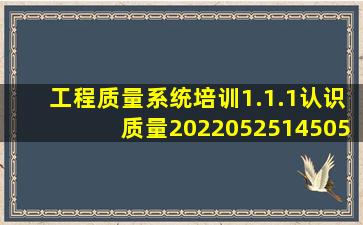 工程质量系统培训1.1.1认识质量20220525145050.pdf