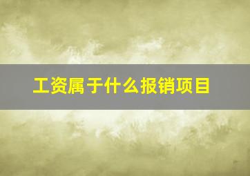 工资属于什么报销项目