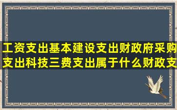 工资支出基本建设支出财政府采购支出科技三费支出属于什么财政支出...