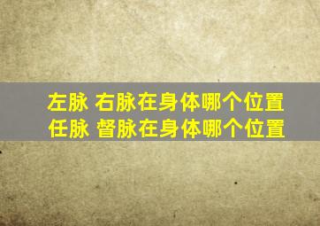 左脉 右脉在身体哪个位置 任脉 督脉在身体哪个位置