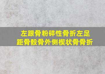 左跟骨粉碎性骨折左足距骨骰骨外侧楔状骨骨折