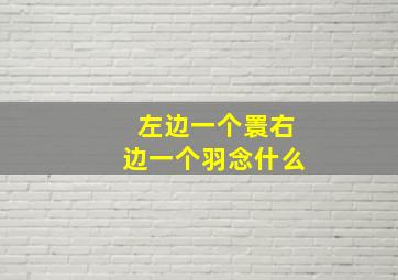 左边一个瞏右边一个羽念什么