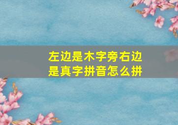 左边是木字旁右边是真字拼音怎么拼