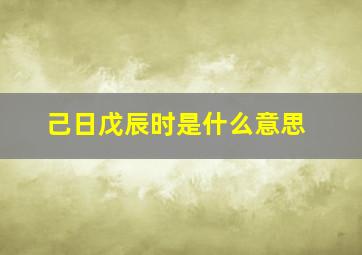 己日戊辰时是什么意思