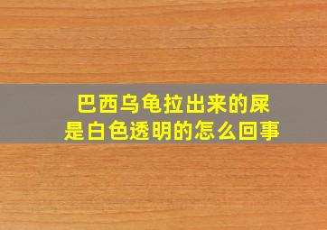 巴西乌龟拉出来的屎是白色透明的怎么回事