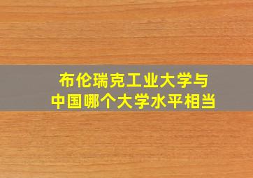 布伦瑞克工业大学与中国哪个大学水平相当