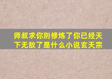 师叔求你别修炼了,你已经天下无敌了是什么小说玄天宗