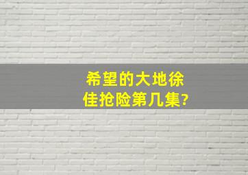 希望的大地徐佳抢险第几集?