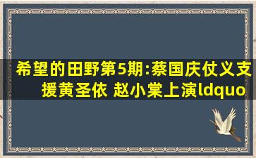 希望的田野第5期:蔡国庆仗义支援黄圣依 赵小棠上演“乡村爱情故事...