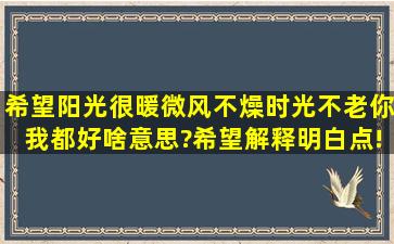 希望阳光很暖,微风不燥,时光不老,你我都好。啥意思?希望解释明白点!