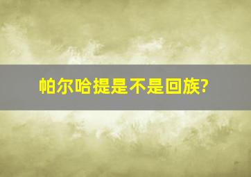 帕尔哈提是不是回族?