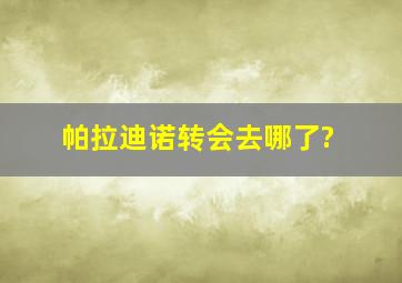 帕拉迪诺转会去哪了?