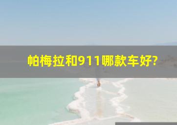 帕梅拉和911哪款车好?