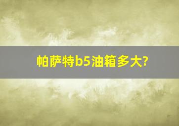 帕萨特b5油箱多大?