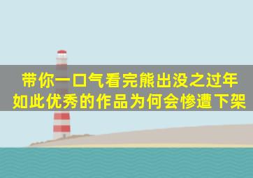 带你一口气看完熊出没之过年,如此优秀的作品为何会惨遭下架