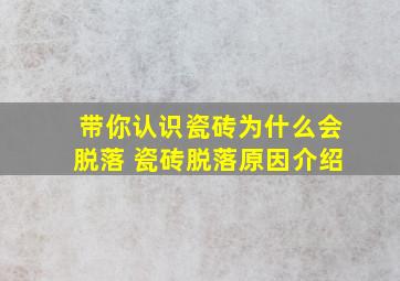 带你认识瓷砖为什么会脱落 瓷砖脱落原因介绍