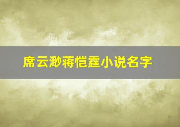 席云渺蒋恺霆小说名字