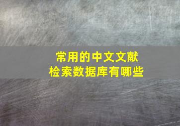 常用的中文文献检索数据库有哪些