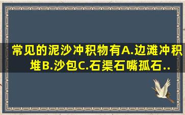 常见的泥沙冲积物有()。A.边滩、冲积堆B.沙包C.石渠、石嘴、孤石、...