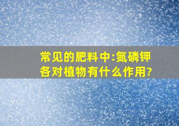 常见的肥料中:氮、磷、钾各对植物有什么作用?