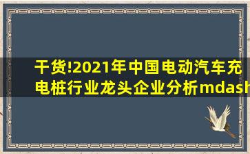 干货!2021年中国电动汽车充电桩行业龙头企业分析——星星充电...