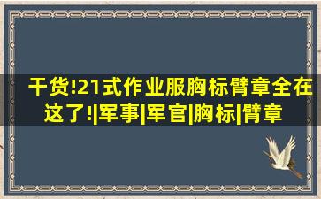 干货!21式作业服胸标、臂章,全在这了!|军事|军官|胸标|臂章