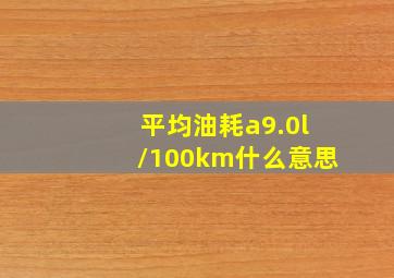 平均油耗a9.0l/100km什么意思