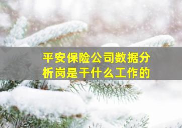 平安保险公司数据分析岗是干什么工作的