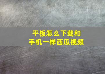 平板怎么下载和手机一样西瓜视频