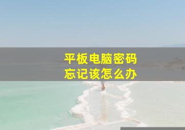 平板电脑密码忘记该怎么办