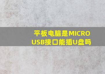 平板电脑是MICRO USB接口能插U盘吗