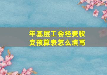 年基层工会经费收支预算表怎么填写