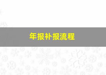 年报补报流程