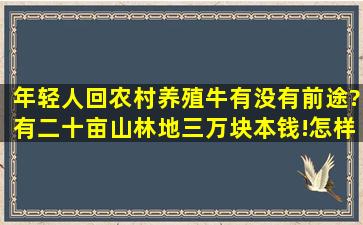 年轻人回农村养殖牛有没有前途?有二十亩山林地,三万块本钱!怎样起