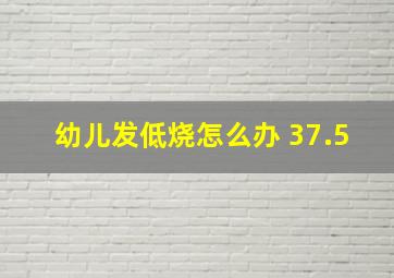 幼儿发低烧怎么办 37.5