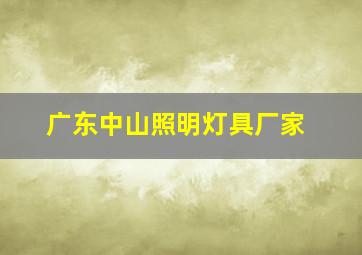 广东中山照明灯具厂家