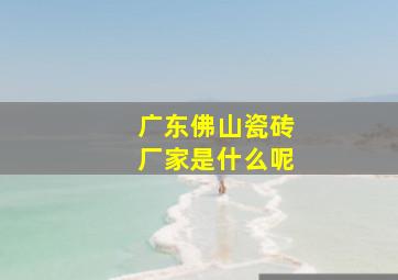 广东佛山瓷砖厂家是什么呢