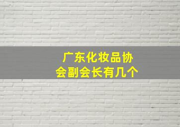 广东化妆品协会副会长有几个