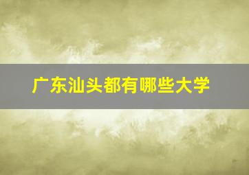 广东汕头都有哪些大学(