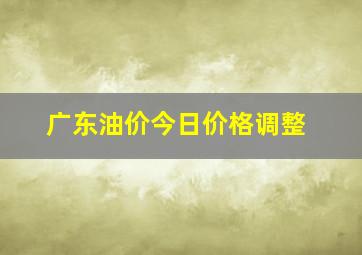 广东油价今日价格调整