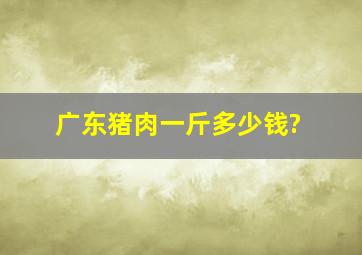 广东猪肉一斤多少钱?