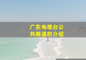 广东电视台公共频道的介绍