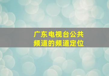 广东电视台公共频道的频道定位