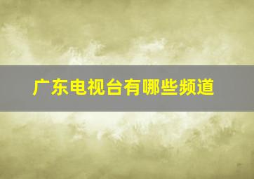 广东电视台有哪些频道(