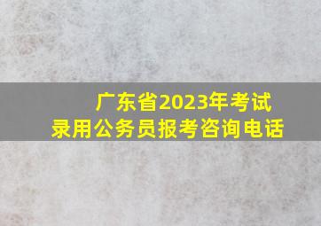 广东省2023年考试录用公务员报考咨询电话