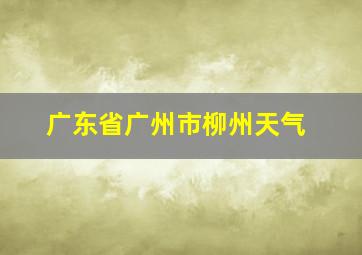 广东省广州市柳州天气