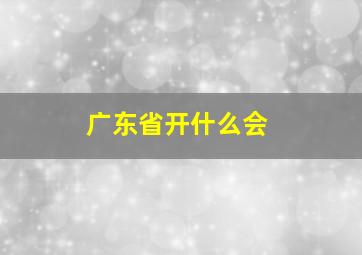 广东省开什么会